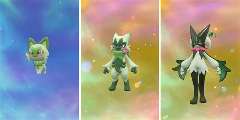 pokemon violet sprigatito evolution|Pokémon Scarlet and Violet Starter Evolutions,。